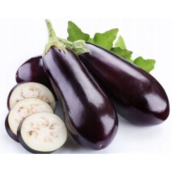 Sadzonka rozsada Bakłażan Oberżyna Black Beauty
