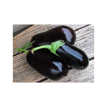 Sadzonka rozsada Bakłażan Oberżyna Black Beauty