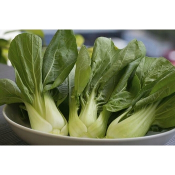 Sadzonka rozsada Kapusta chińska Pak-Choi 10 szt