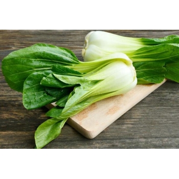 Sadzonka rozsada Kapusta chińska Pak-Choi 5 szt