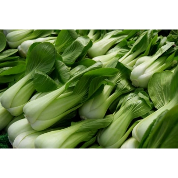 Sadzonka rozsada Kapusta chińska Pak-Choi 5 szt