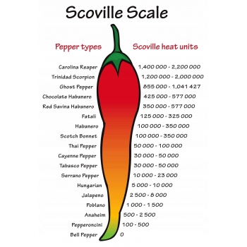 Sadzonka ostra Papryka CAROLINA REAPER