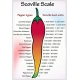 Sadzonka ostra Papryka CAROLINA REAPER