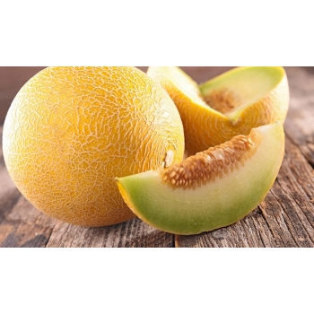 Sadzonka rozsada Melon Junior