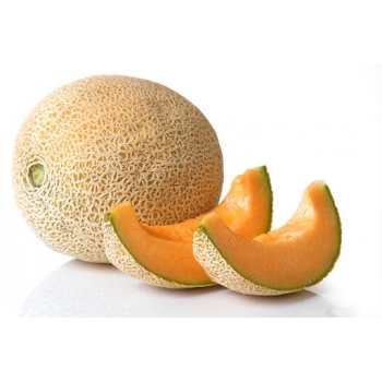 Sadzonka rozsada Melon Junior