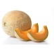 Sadzonka rozsada Melon Junior